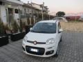 usato FIAT New Panda