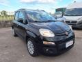 usato FIAT Panda