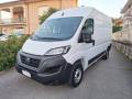 usato FIAT Ducato