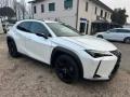 usato LEXUS UX 250h
