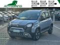 usato FIAT Panda Cross