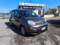 usato FIAT Panda