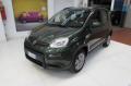 usato FIAT Panda