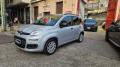 usato FIAT New Panda