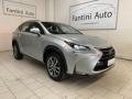 usato LEXUS NX 300