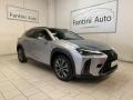 usato LEXUS UX 250h