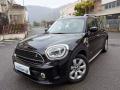 usato MINI Countryman