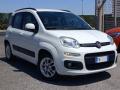 usato FIAT Panda