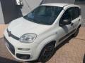 usato FIAT Panda