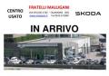 usato SKODA Karoq