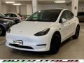 usato TESLA Model Y