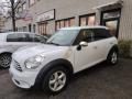 usato MINI Countryman