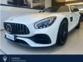 usato MERCEDES AMG GT