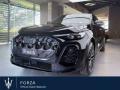 usato AUDI SQ5
