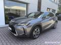 usato LEXUS UX Full Electric