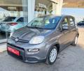usato FIAT Panda