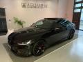 usato JAGUAR XE