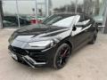 usato LAMBORGHINI Urus