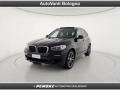 usato BMW X3