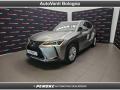 usato LEXUS UX 250h