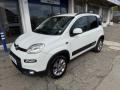 usato FIAT Panda