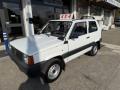 usato FIAT Panda