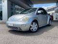 usato VOLKSWAGEN New Beetle