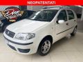 usato FIAT Punto
