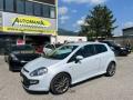 usato FIAT Punto Evo