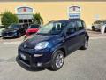 usato FIAT Panda