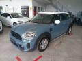 usato MINI Countryman