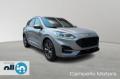 usato FORD Kuga