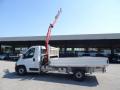 usato FIAT Ducato