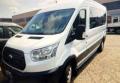 usato FORD Transit