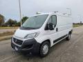 usato FIAT Ducato