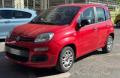 usato FIAT New Panda