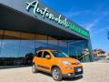 usato FIAT New Panda