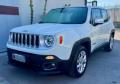 usato JEEP Renegade