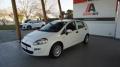 usato FIAT Punto