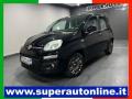 usato FIAT New Panda