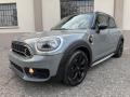 usato MINI Countryman