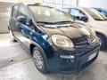 usato FIAT Panda