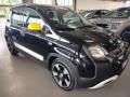 usato FIAT Panda