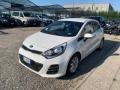usato KIA Rio