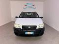 usato FIAT Punto