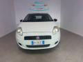 usato FIAT Grande Punto
