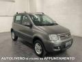 usato FIAT Panda