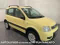 usato FIAT Panda