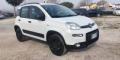 usato FIAT Panda