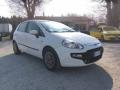 usato FIAT Punto Evo